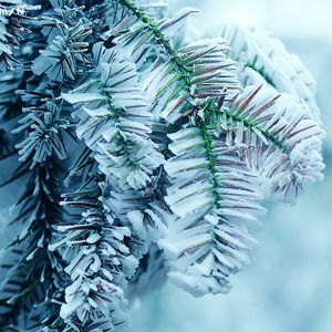 a级毛片一区二区无吗
