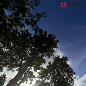 a级毛片一区二区无吗
